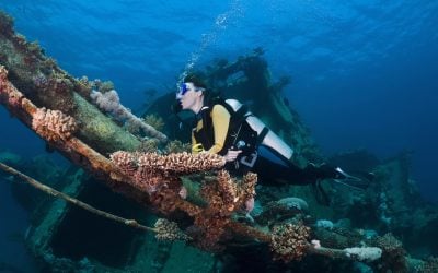 Open Water Diver – Stopień Podstawowy