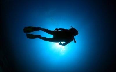 Night Diver – Nurkowanie Nocne